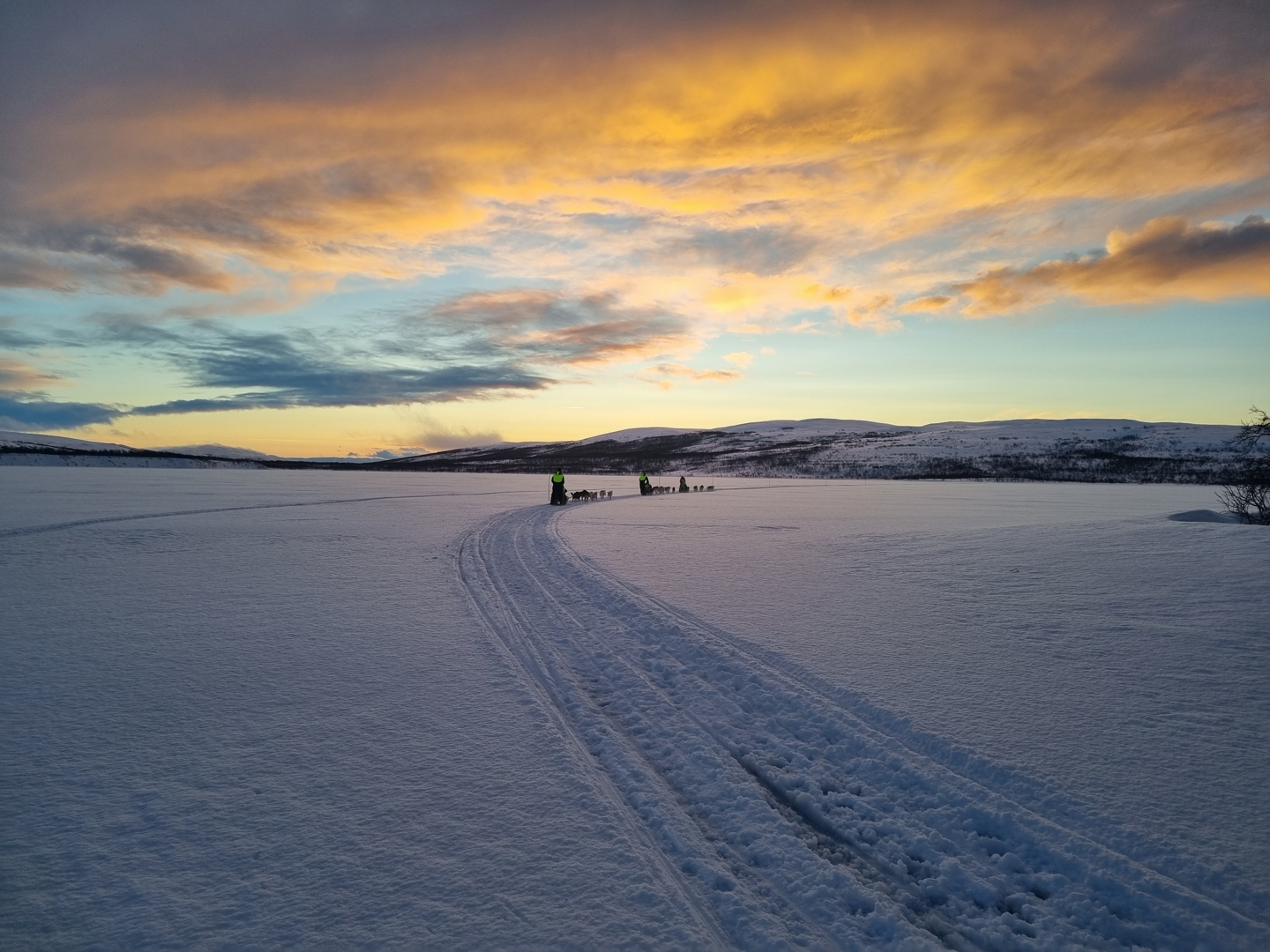 Dog sledding adventure in Finnmark