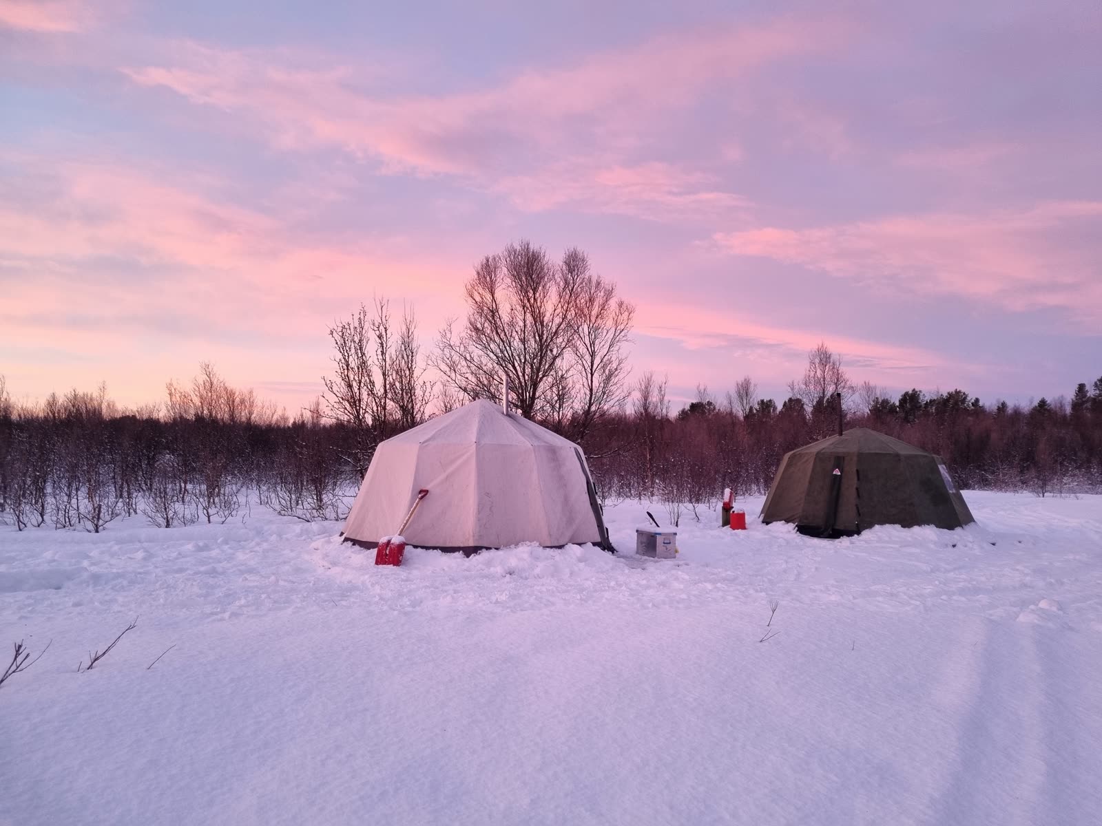 Dog sledding adventure in Finnmark